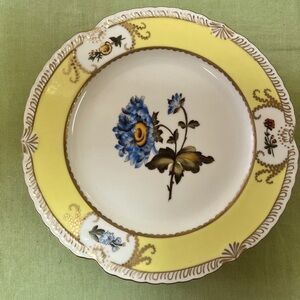 Set of 4 Coalport Botanical plates